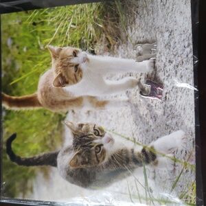 Zoombie Cat Earrings *NWOT*